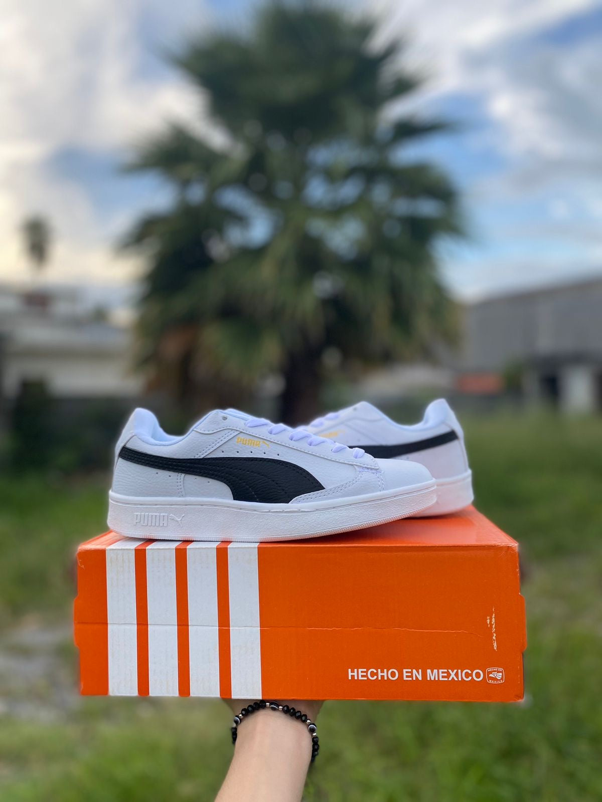 Puma negro blanco